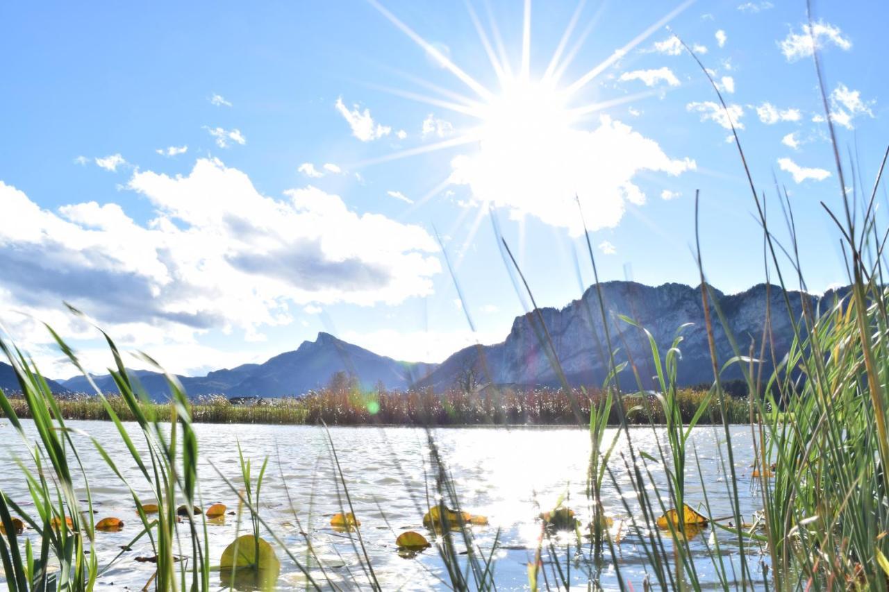 Hotel Drachenwand-Mondsee Buitenkant foto